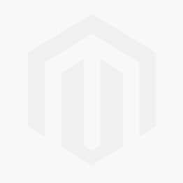 iPhone 13 mini
